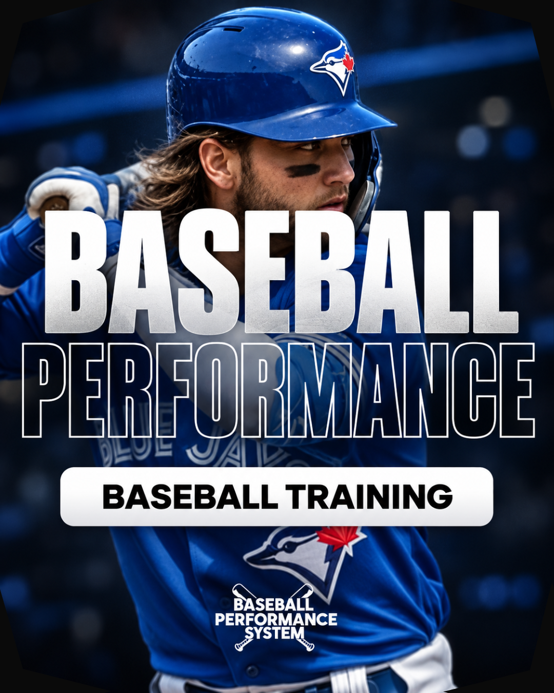 Baseball Performance System