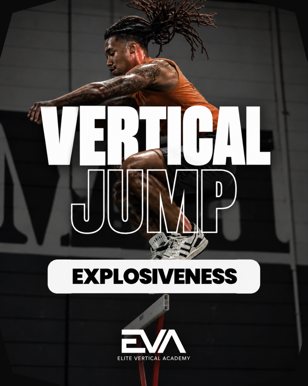 Elite Vertical Academy
