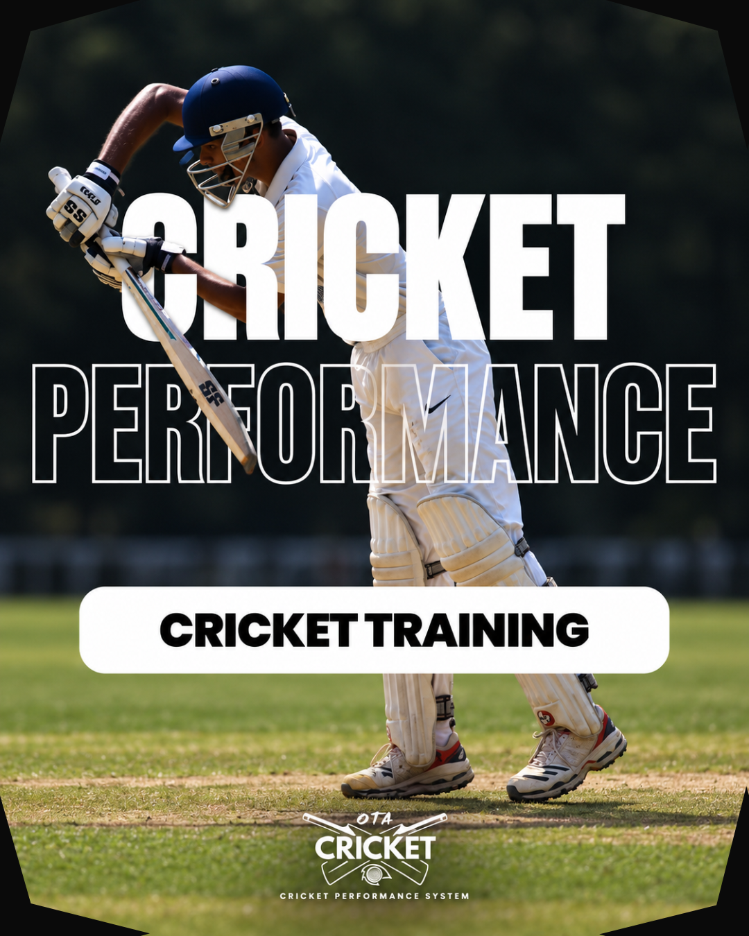 Cricket Performance